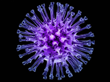 4. Возбудители заболеваний. Реакции иммунитета  в борьбе с вирусами и бактериями